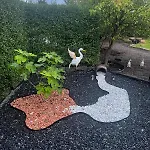 Nest 1 Lejlighed Sønderborg