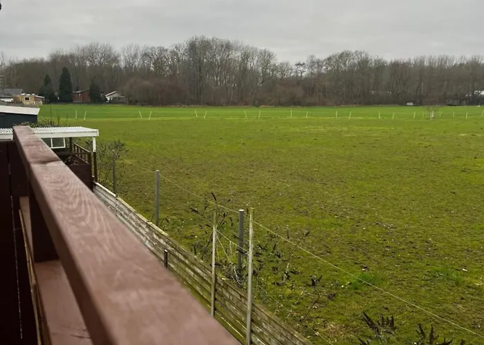 Nest 1